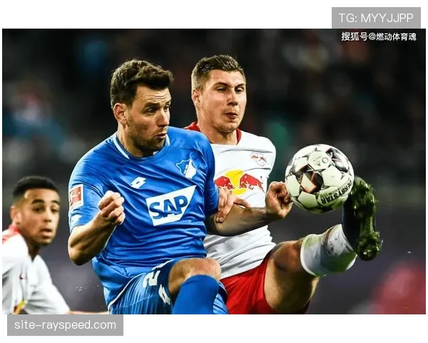 法兰克福1-3霍芬海姆：联赛第19轮，客队客场带走三分